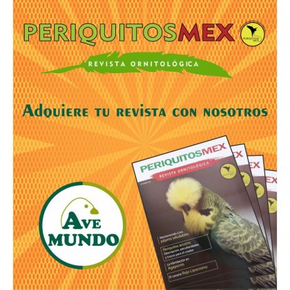 REVISTA PMX_result